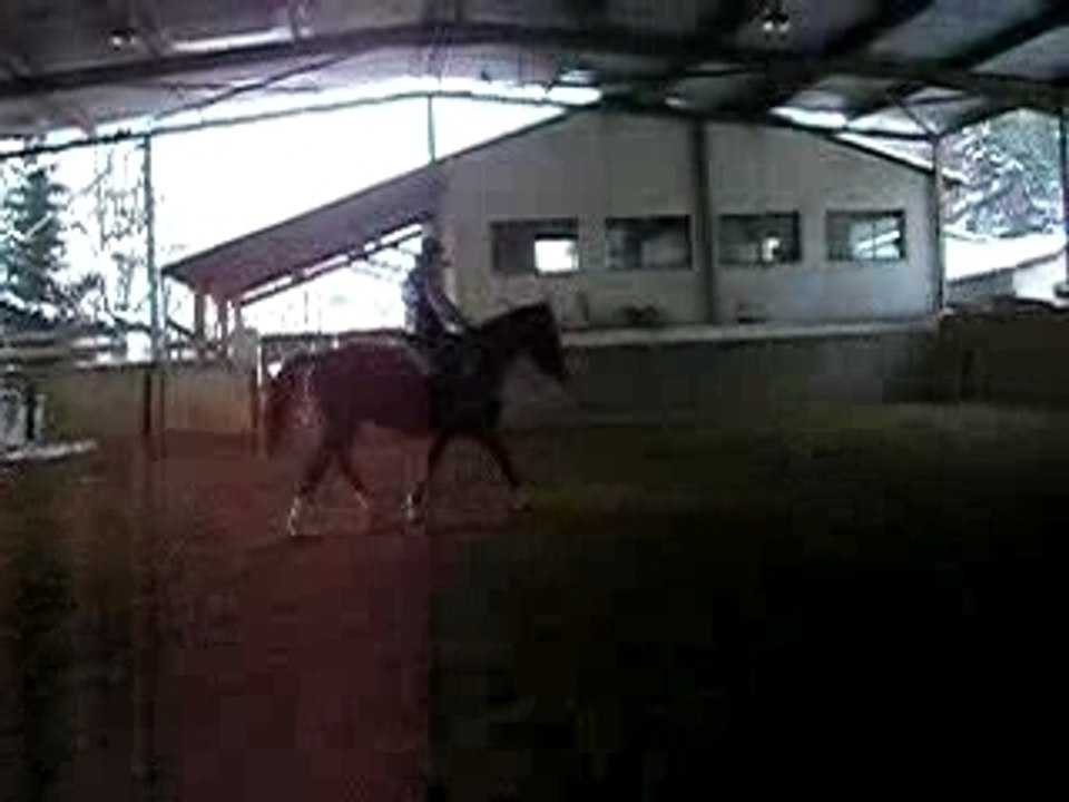P1010018