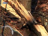 Sa e romange (Vesti na romskom jeziku), 17. januar 2015. (RTV Bor)