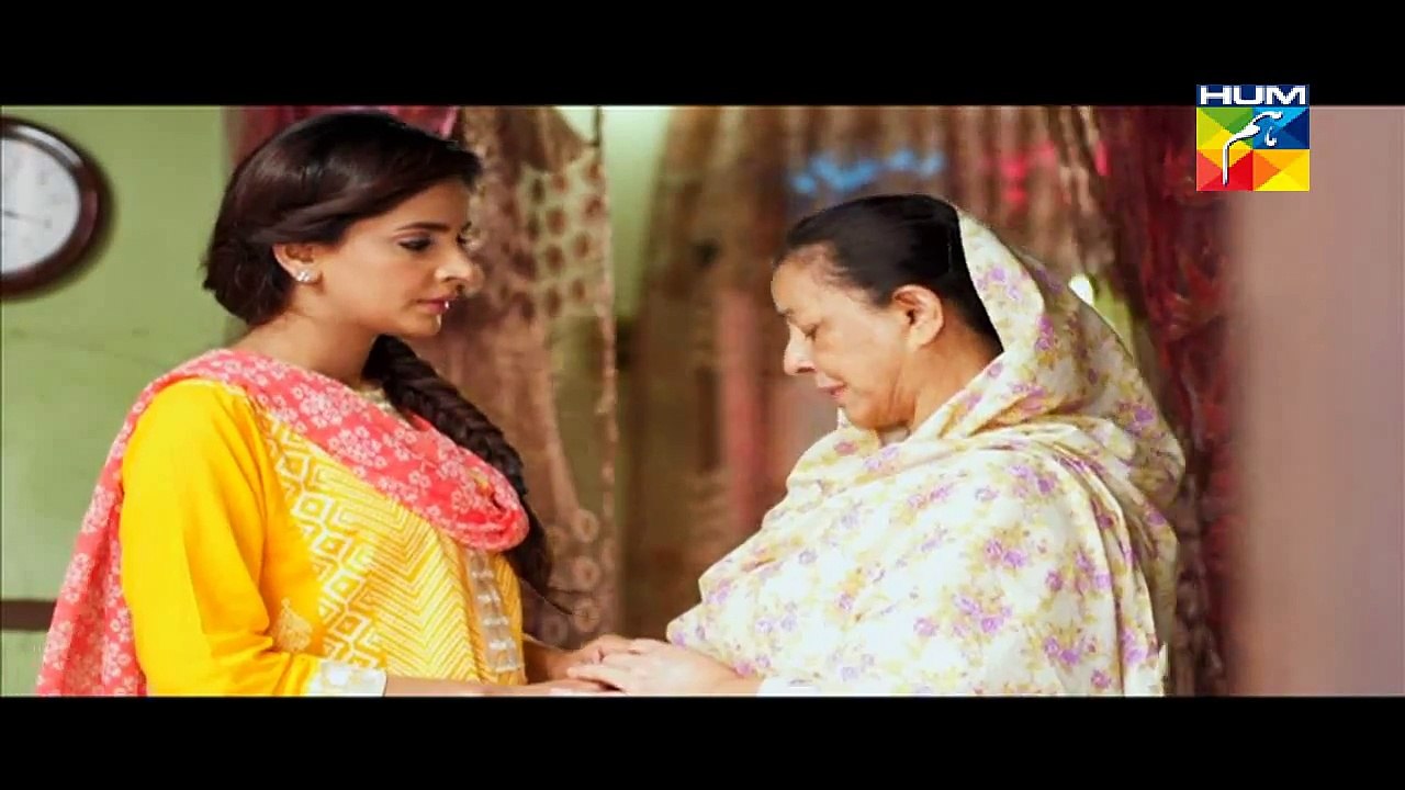 Digest Writer Episode 16 Part 3 HUM TV Drama Jan 17, 2015