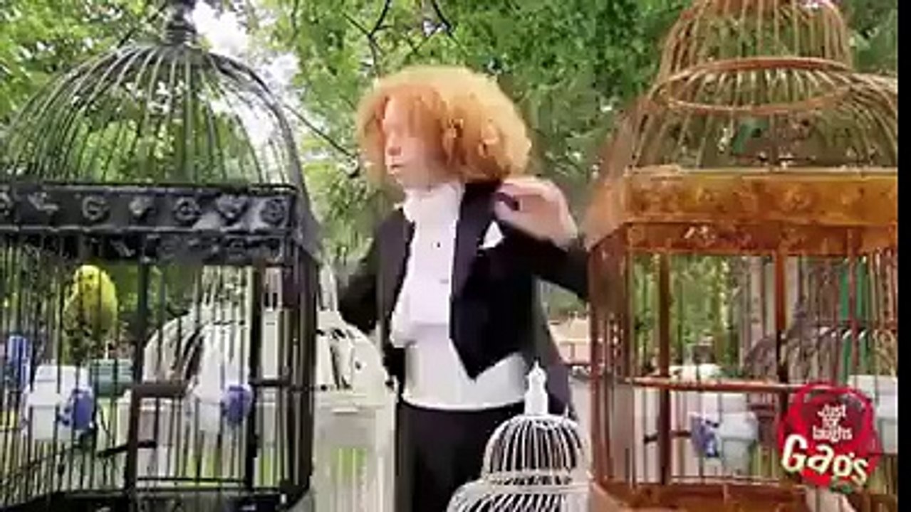 Animal Concerto Prank