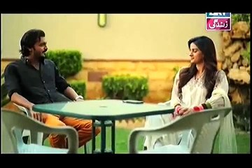 Na Katro Pankh Meray Episode 13 Full 17 January 2015