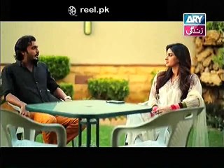 Na Katro Pankh Meray Episode 13 17th Jan 2015
