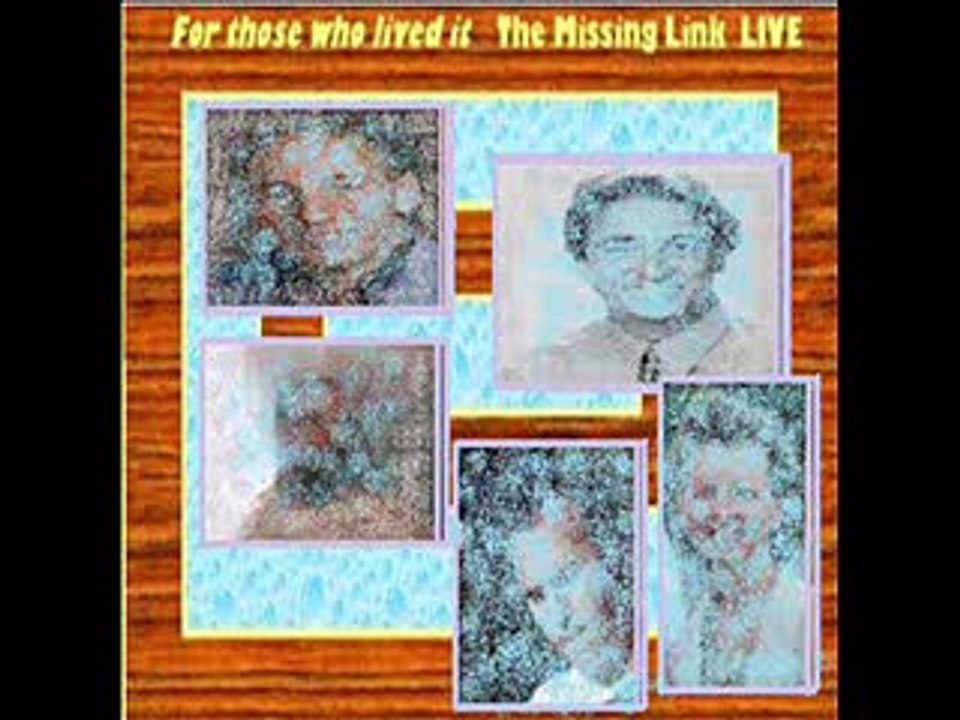 Missing Link - My Heart Your Hip