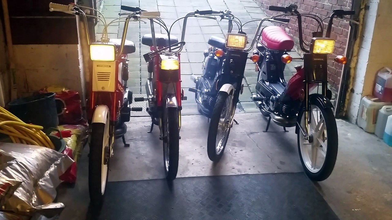 mes 4 camino