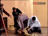 Best Of Kodu Pakistani Punjabi Stage Drama