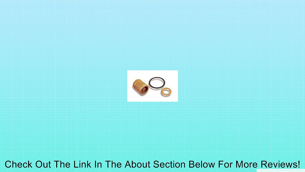 Holley 162-500 Brass Carburetor Fuel Inlet Filter - Pack of 2 Review