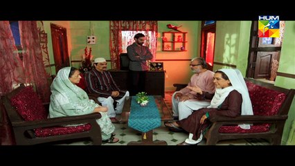 Digest Writer Episode 14 Full HUM TV Drama Jan 3_ 2015