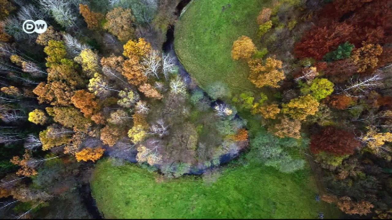 Euromaxx highlights | euromaxx