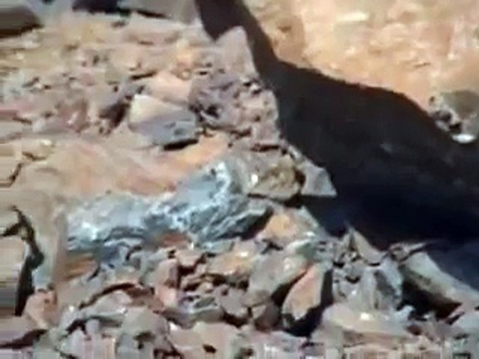 Hazrat Amina Bibi (r.a) ki Qabar-e-Mubarik. (Mukam-e-Abwa)