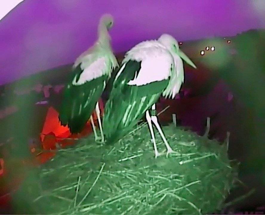 17.01.15  matin 2ème partie / morgens Teil 2