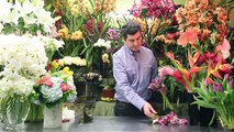 Flower Arrangements - Wedding Bouquets Using Calla Lilies