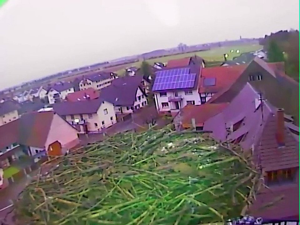 17.01.15  matin 3ème partie / morgens Teil 3