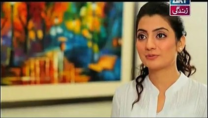 Na Katro Pankh Meray Episode 13 on Ary Zindagi in High Quality 17th January 2015