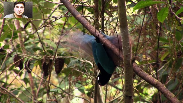 Kalam e Iqbal By Shehzad Roy خودی کا سرِ نہاں لا الہٰ الا اللہُ