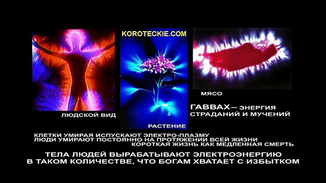 5 Распознавайте свои эмоции в рельной жизни.