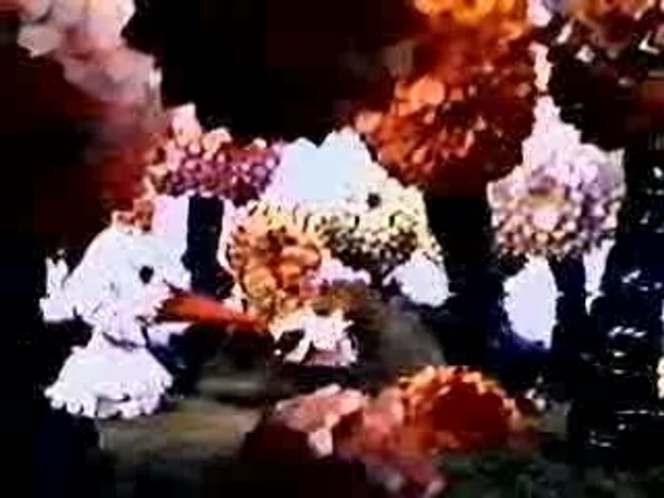 Petit Echo de la foret -L'imagination