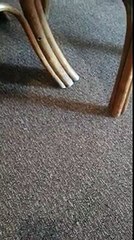 big ass shaking