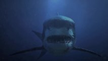 Mega Shark vs. Mecha Shark (2014) Full Movie
