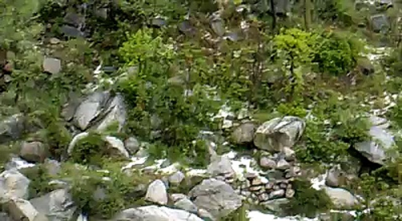 The Beautiful Kovera Neair Malakand Dir Lower