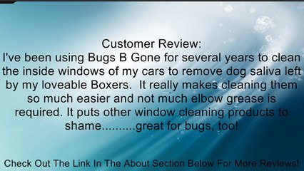 Sea Foam BBG1 Cleaner Review