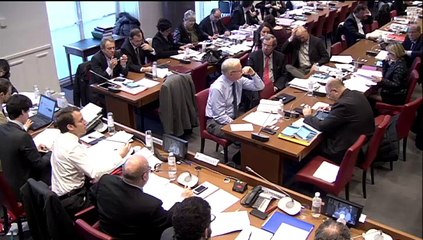 Commission spéciale croissance et activité  - Samedi 17 Janvier 2015