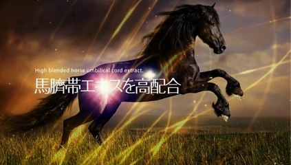 Drinking Horse Placenta in Japan!