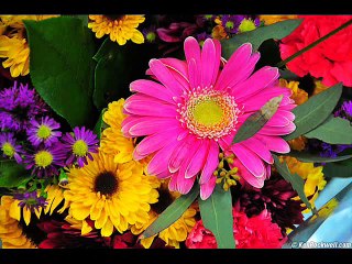 Maulana Tariq Jameel Narrates Funny Story Of a Bus Conductor [Urdu]