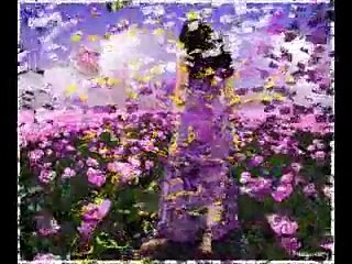 عشقي لكِ يا زهرتي - بقلمي ابراهيم صبرا