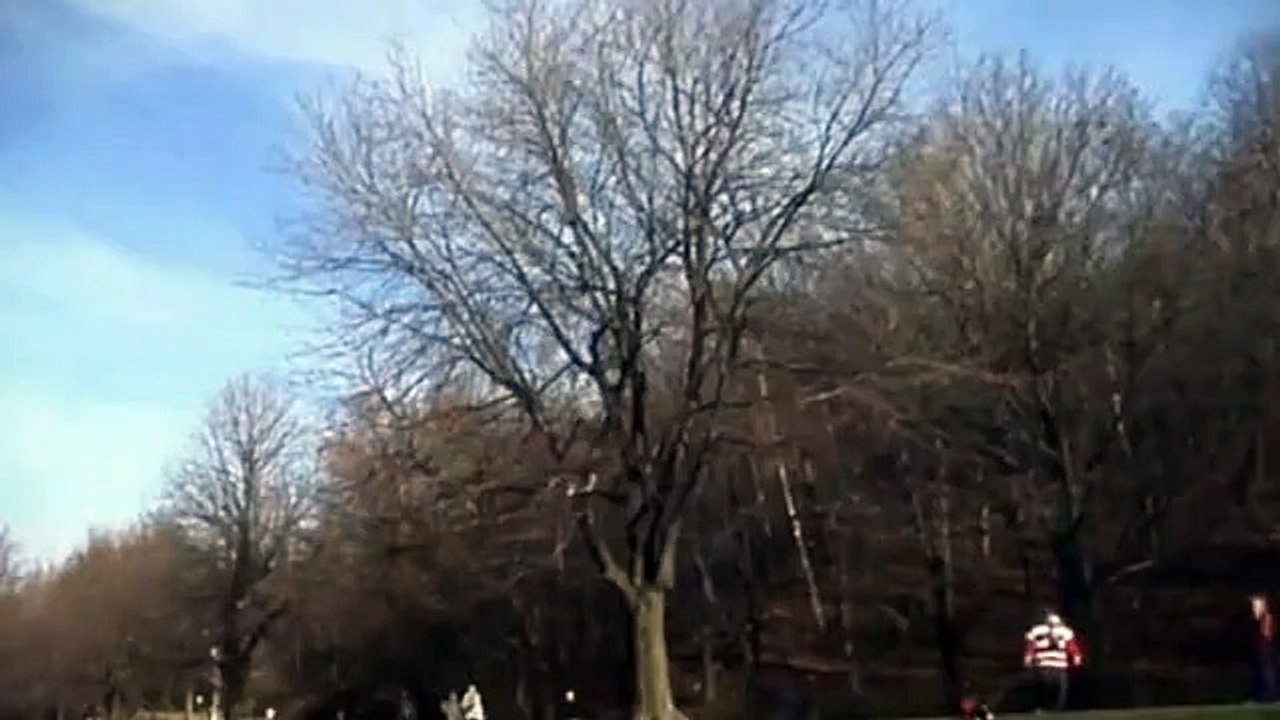 Eagle Lifts Up Baby