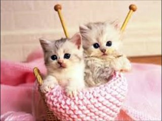 프로바카라【 Ｗ­Ｏ­Ｗ­８­８­０。­Ｃ­Ｏ­Ｍ 】바카라백전백승