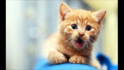 바카라그림보는법【 Ｗ­Ｏ­Ｗ­８­８­０。­Ｃ­Ｏ­Ｍ 】대만바카라주소