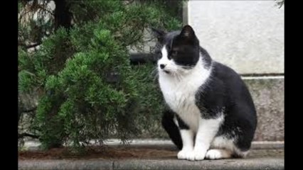 카지노연승【 Ｗ­Ｏ­Ｗ­８­８­０。­Ｃ­Ｏ­Ｍ 】식보싸이트