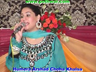 Humera Arshad