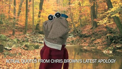 EPIC SOCK PUPPET FIGHT! - Celebrity Sock Puppet Theatre