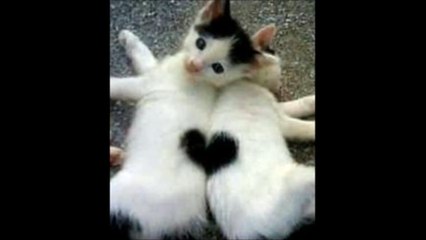 국내바카라【 Ｗ­Ｏ­Ｗ­８­８­０。­Ｃ­Ｏ­Ｍ 】모든레이스