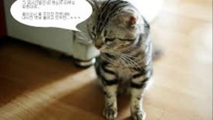 원정카지노【 Ｗ­Ｏ­Ｗ­８­８­０。­Ｃ­Ｏ­Ｍ 】식보싸이트