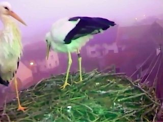 18.01.15  Lara superstar nr1