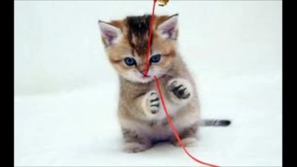 카지노정보【 Ｗ­Ｏ­Ｗ­８­８­０。­Ｃ­Ｏ­Ｍ 】나인카지노