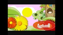 بيطري يا بيطري - ملاك الطرايره - قناة كراميش الفضائية Karameesh Tv