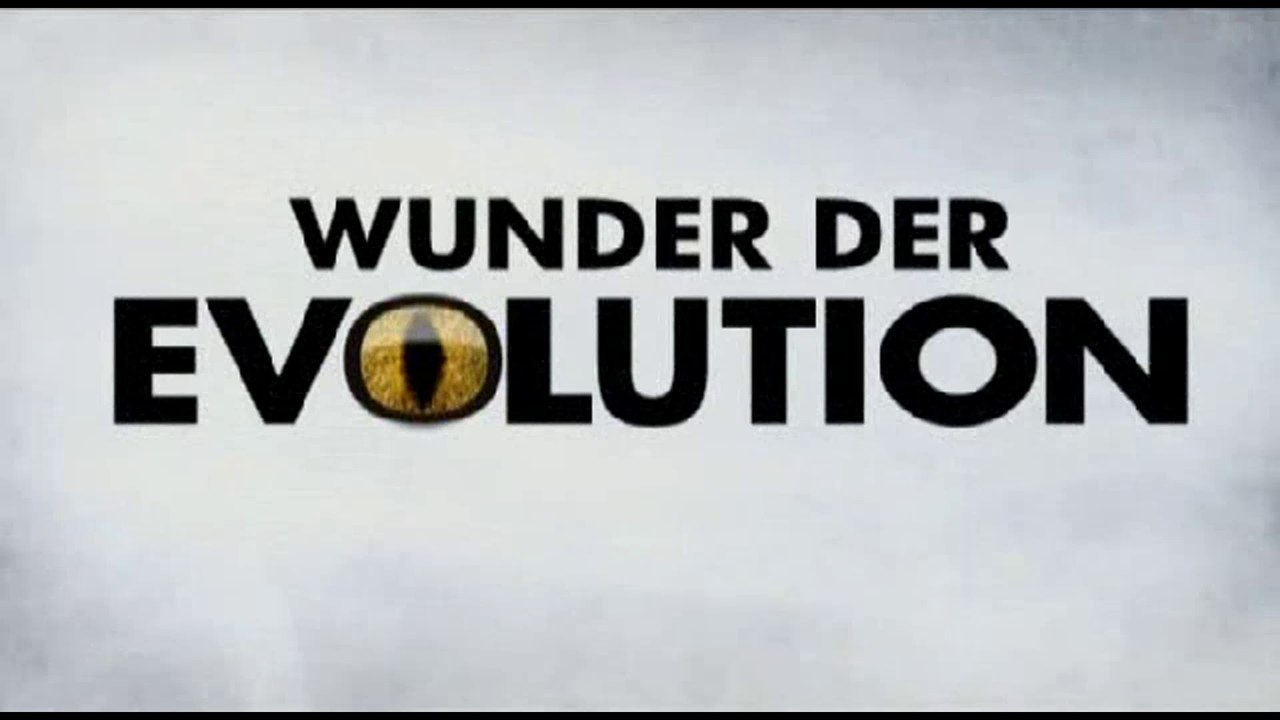 Wunder der Evolution - 2008 - Größe - by ARTBLOOD