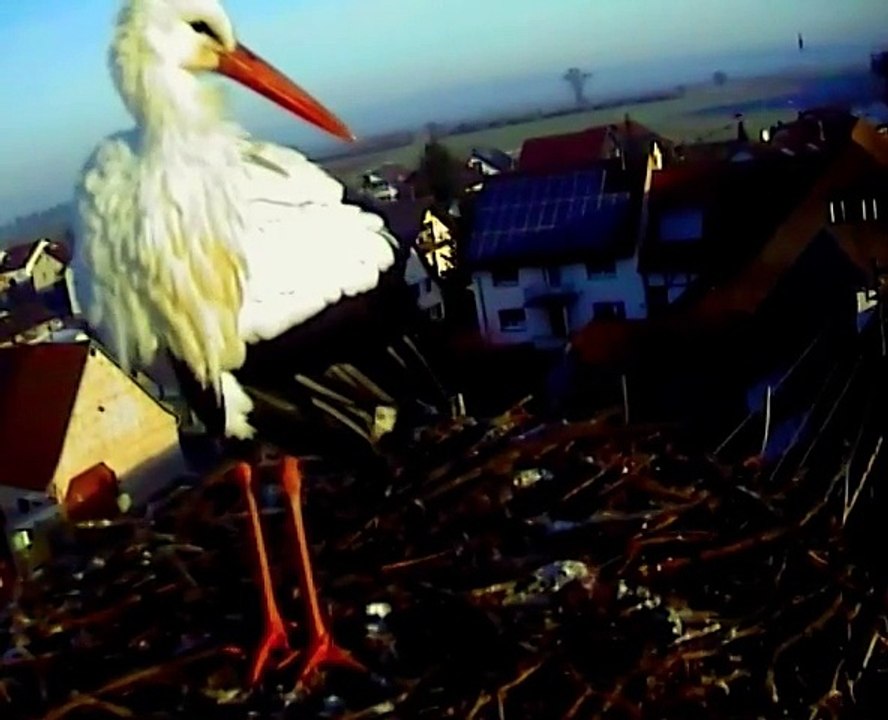 18.01.15  Lara superstar nr4