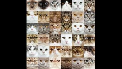 카지노밤문화【 Ｗ­Ｏ­Ｗ­８­８­０。­Ｃ­Ｏ­Ｍ 】엘카지노호텔