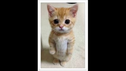 한가한카지노【 Ｗ­Ｏ­Ｗ­８­８­０。­Ｃ­Ｏ­Ｍ 】바카라연승