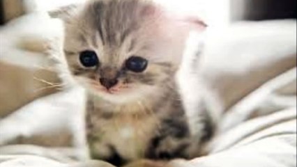 바카라사이트【 Ｗ­Ｏ­Ｗ­８­８­０。­Ｃ­Ｏ­Ｍ 】하이원리조트