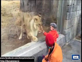 Dunya News - Light stories from all over the world