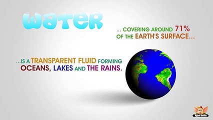 Why Water Is Essential for All Living Things 💧