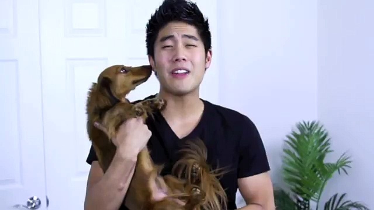 Do You Love Animals