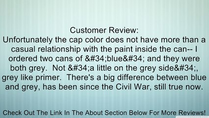 Dupli-Color HVP106 Flat Black High Performance Vinyl and Fabric Spray - 11 oz. Review