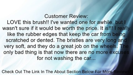 Carrand 93053 Dip Brush - 8" Head w/ Bumper & 48" Handle with Sleeve Review