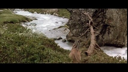 İzleyin pişman Olmayacaksınız